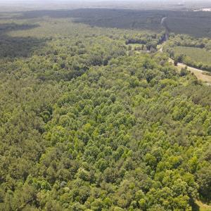 DJI_0167