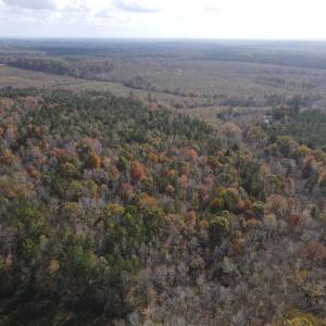DJI_0315