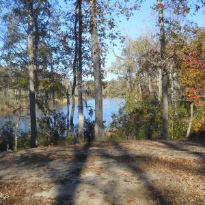 Standing on very edge of lot