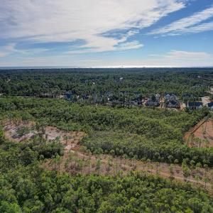 2696YellowPoplarPath - 15