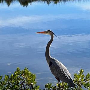 IMG_1086