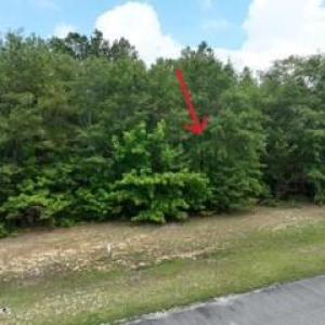 173 Deer Pointe Drive Lot 9