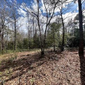 lot 418