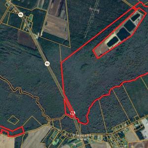 275-Acre Timberland for Sale in NC