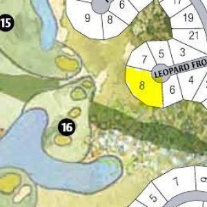 highlighted 8 leopard