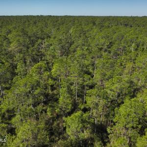 DJI_20230502095256_0011_V