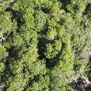 DJI_20230502104733_0010_V