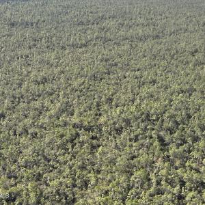 DJI_20230502093253_0013_V