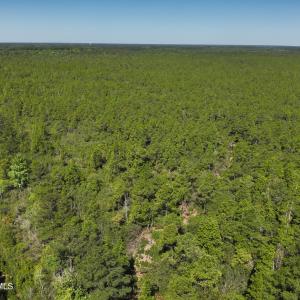 DJI_20230502104501_0001_V