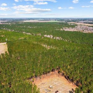 5-web-or-mls-DJI_0775