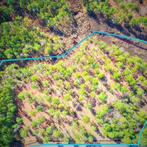 203 Paradox Point Drive lot lines