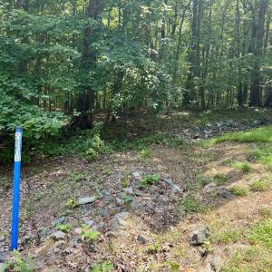 Myrtle Ln - Water line