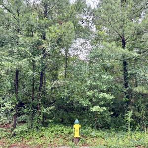 217 219 PRESTON AVENUE FAYETTEVILLE NC R