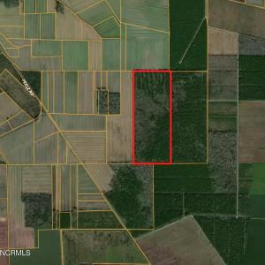 Prime Hunting & Timber Land for Sale
