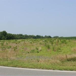 Field view
