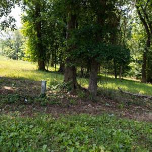 08-017-Tract01-Chatham-Parcel-14928-5Tra