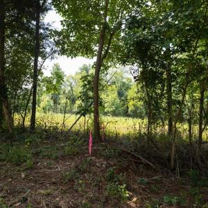 20-029-Tract02-Chatham-Parcel-14928-5Tra