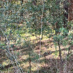 DBADA3C0-D994-4DB3-BDFE-18AD75B7597E