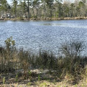 77829A33-1C9D-42AC-A9B1-82C6F600DD8B