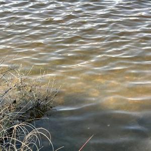 59CE0320-A81B-4E1A-920B-CF1EBD640277