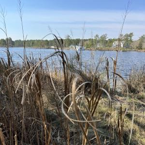 3F1ADFAA-BA96-4AF7-A8A8-ABA741495D68