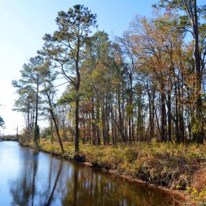 004 Canal Photo