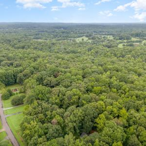 001_dji_20240724085240_0078_d-edit