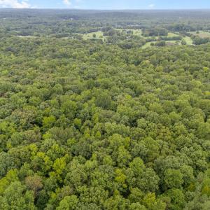 002_dji_20240724085255_0079_d-edit