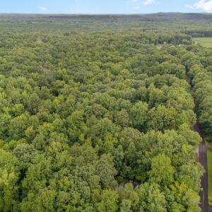 008_dji_20240724085636_0087_d-edit