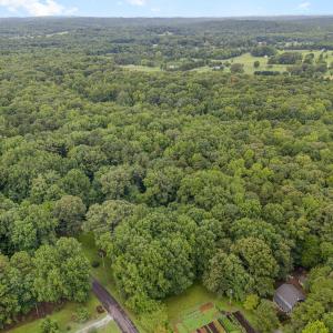 010_dji_20240724085845_0091_d-edit