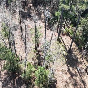 DJI_20240315121544_0068_D Large