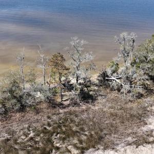 DJI_20240315133049_0118_D Large