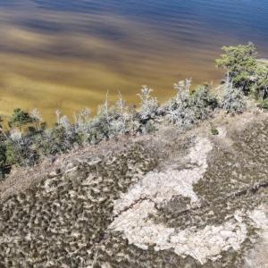 DJI_20240315120759_0040_D Large