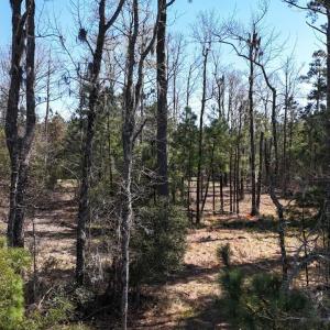 DJI_20240315132715_0107_D Large