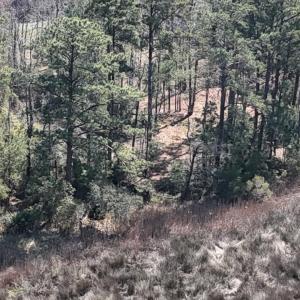 DJI_20240315121007_0047_D Large