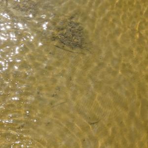 DJI_20240315121403_0062_D Large