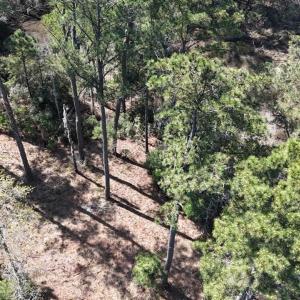 DJI_20240315121550_0069_D Large