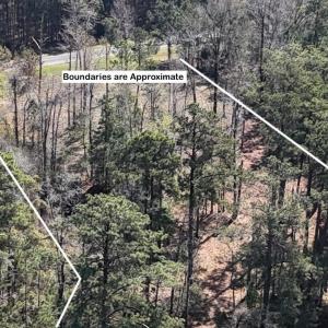 DJI_20240315120928_0044_D Large