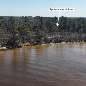 DJI_20240315121114_0051_D Large