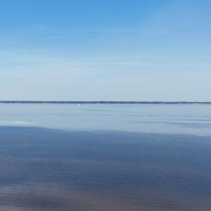 DJI_20240315133040_0117_D Large