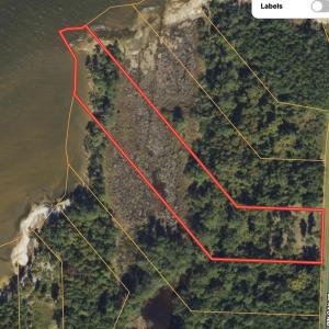 Screenshot 2024-03-15 at 11.02.51 AM