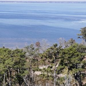 DJI_20240315120658_0036_D Large