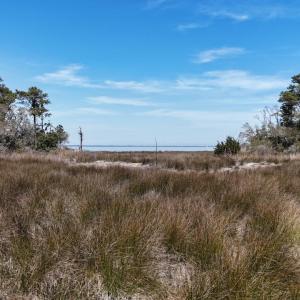 DJI_20240315132548_0103_D Large