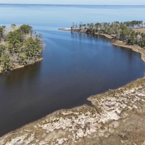 DJI_20240315124351_0099_D Large