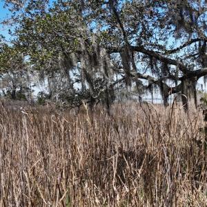 DJI_20240315132946_0114_D Large