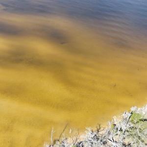 DJI_20240315120825_0042_D Large