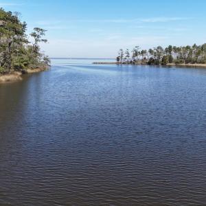 DJI_20240315124213_0095_D Large