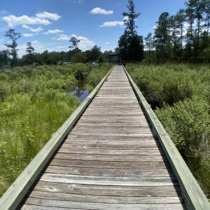 07 Walkway to Marina