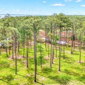 175 River Watch Road (15)