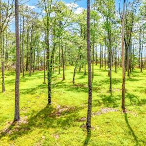 175 River Watch Road (9)